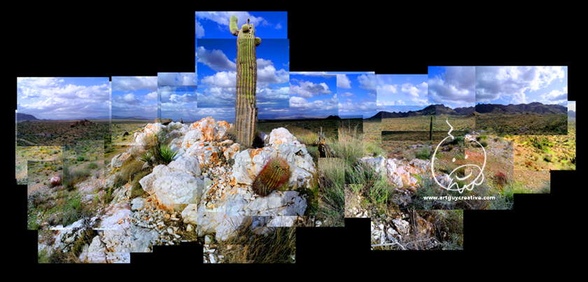 Arizona Landscape Photography Montage Saguaro Cactus