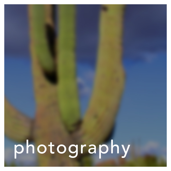 Mylestone Plans How We Are Different