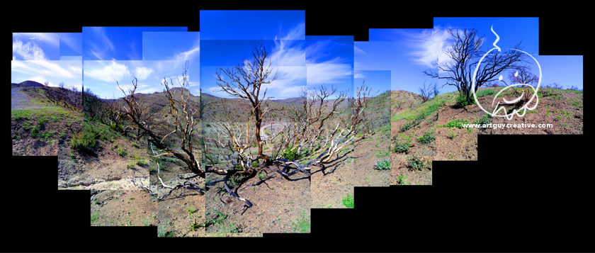Arizona Landscape Photography Montage