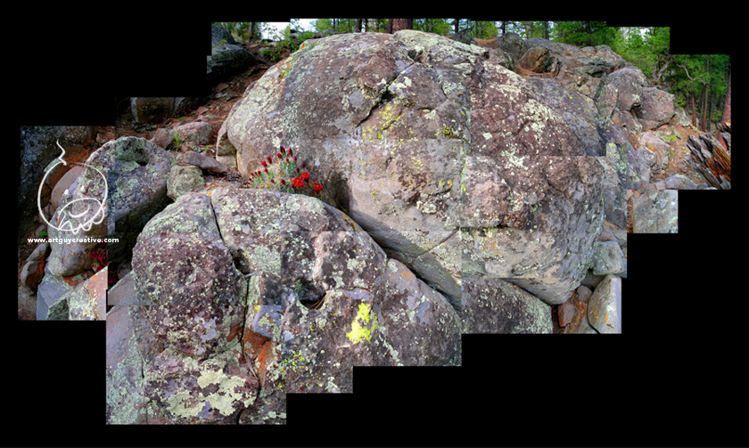 Arizona Landscape Photography Montage Mogollon Rim