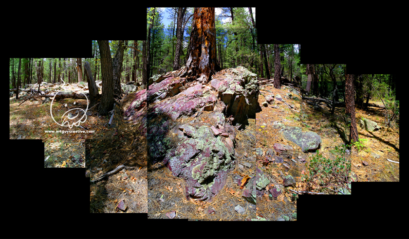 Arizona Landscape Photography Montage Mogollon Rim