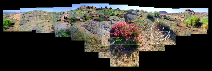 Arizona Landscape Photography Montage