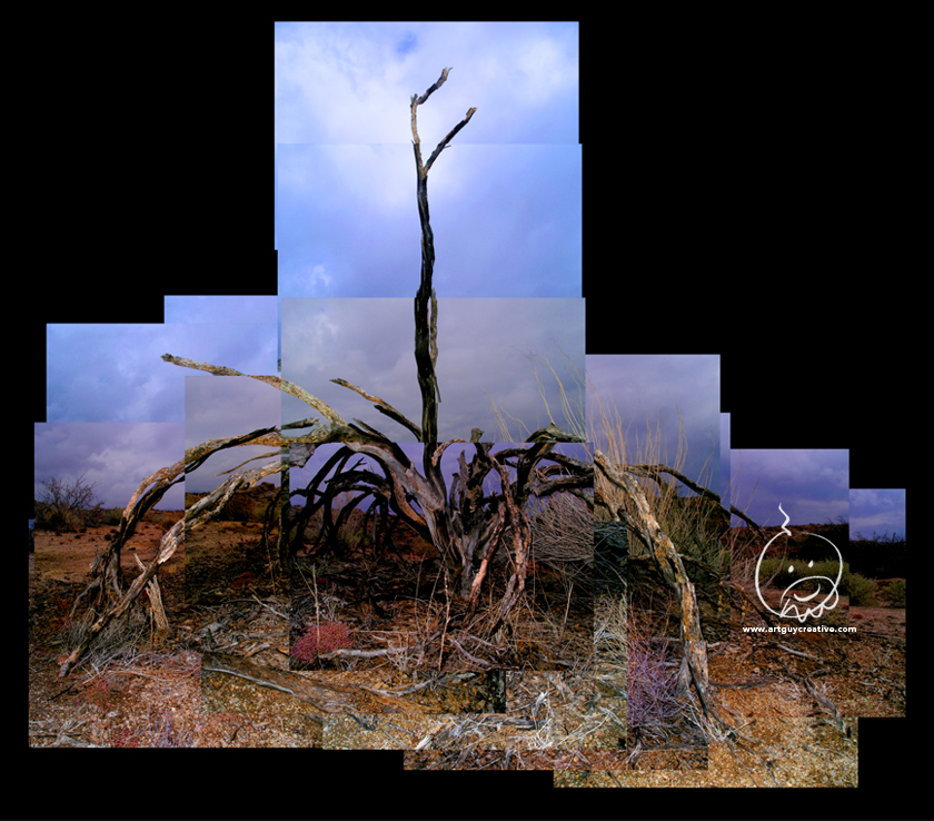 Arizona Landscape Photography Montage