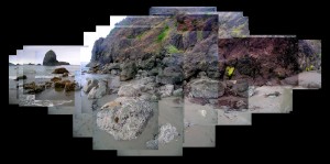 Oregon Coast, Whales Head Beach