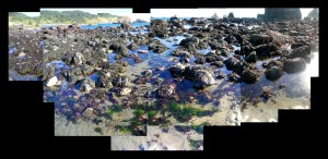 Oregon Coast, Lone Ranch