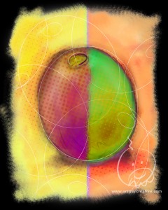 Wine Bar Cafe Imagery